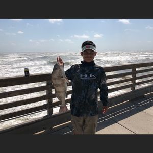 Meet your Posher, Mitchell